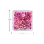 3D Dried Flower Nail Art Stickers – Rose Red
