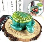 Sea Turtle Resin Mold with Lid for Crafts