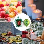 Sea Turtle Resin Mold with Lid for Crafts