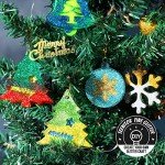 Holographic Chunky & Fine Glitters Set 32pcs