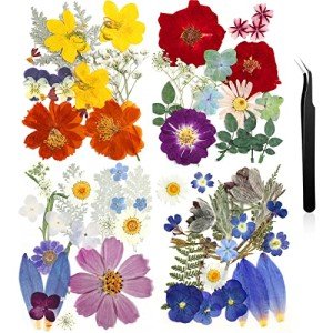 Bulk Dried Pressed Flowers for Resin Crafts