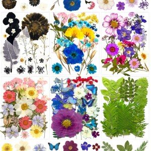 133Pcs Dried Flowers for Resin Art Crafts