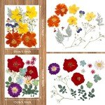 Bulk Dried Pressed Flowers for Resin Crafts
