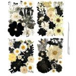 100 Pcs Black Dried Flowers for Resin Art