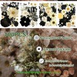 100 Pcs Black Dried Flowers for Resin Art