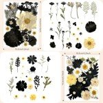 100 Pcs Black Dried Flowers for Resin Art
