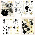 100 Pcs Black Dried Flowers for Resin Art