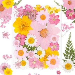 30Pcs Pink Dried Pressed Flowers for Crafts