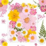 30Pcs Pink Dried Pressed Flowers for Crafts