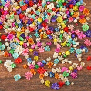 Mini Dried Flowers for Resin Crafts - 200 Pack