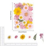 30Pcs Pink Dried Pressed Flowers for Crafts