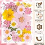 30Pcs Pink Dried Pressed Flowers for Crafts