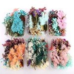 Dried Plants for Aromatherapy & Resin Crafts