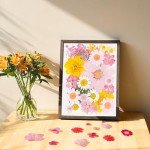 30Pcs Pink Dried Pressed Flowers for Crafts