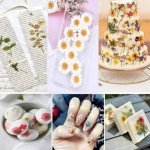 30Pcs Pink Dried Pressed Flowers for Crafts