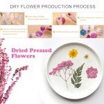 30Pcs Pink Dried Pressed Flowers for Crafts