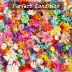 Mini Dried Flowers for Resin Crafts - 200 Pack