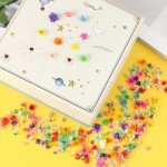 Mini Dried Flowers for Resin Crafts - 200 Pack