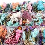 Dried Plants for Aromatherapy & Resin Crafts