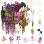 Colorful Dried Flower Leaf Set for Resin Art