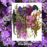 Colorful Dried Flower Leaf Set for Resin Art