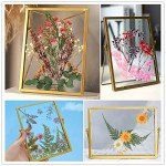 Colorful Dried Flower Leaf Set for Resin Art