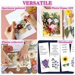 Colorful Dried Flower Leaf Set for Resin Art