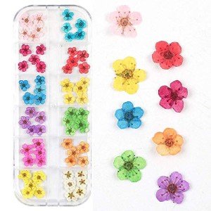 Mini Dried Flowers for Resin Nail Art Decor
