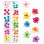 Mini Dried Flowers for Resin Nail Art Decor