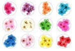 Mini Dried Flowers for Resin Nail Art Decor
