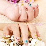 Mini Dried Flowers for Resin Nail Art Decor
