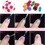 Mini Dried Flowers for Resin Nail Art Decor