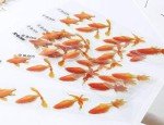 10 Sheets 3D Koi Fish Stickers for Resin Art