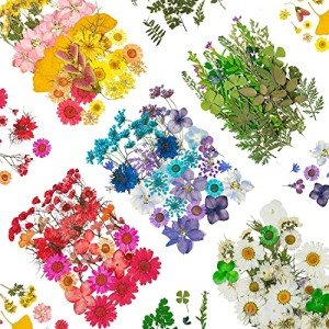 Mixed Dried Flowers for Resin Art - 170+ Pieces