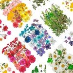 Mixed Dried Flowers for Resin Art - 170+ Pieces