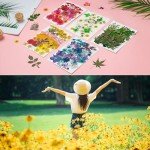 Mixed Dried Flowers for Resin Art - 170+ Pieces