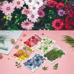 Mixed Dried Flowers for Resin Art - 170+ Pieces