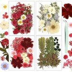 100 Pcs Dried Pressed Flowers for Resin Craft