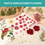 100 Pcs Dried Pressed Flowers for Resin Craft