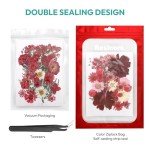 100 Pcs Dried Pressed Flowers for Resin Craft