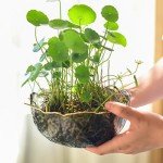 Unique Irregular Resin Mold for Jewelry and Decor