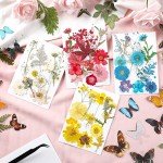 Dried Flower & Butterfly Sticker Set for Resin