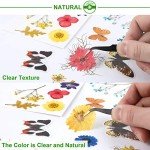 Dried Flower & Butterfly Sticker Set for Resin