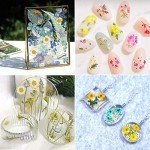 Dried Flower & Butterfly Sticker Set for Resin