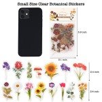 Botanical Stickers Set - 320 Pressed Flower Decals