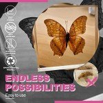 Crystal Clear Epoxy Resin Art Kit - 1 Gallon