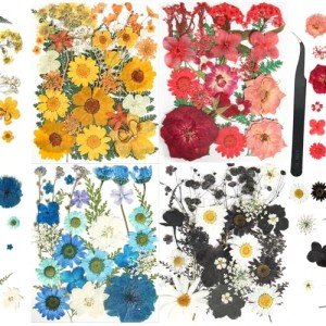 110+ PCS Dried Flowers for Resin Art