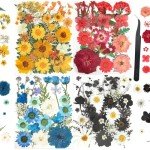 110+ PCS Dried Flowers for Resin Art