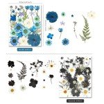 110+ PCS Dried Flowers for Resin Art