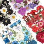 110+ PCS Dried Flowers for Resin Art